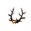 Starry Rune Antlers