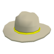 Tan Stetson