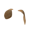 Dog Ears