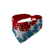 Stars and Stripes Bandana