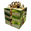 Opened Wanwood Gift of Treehugger
