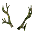 Wanwood Antlers