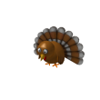 Turkey Shoulderfriend