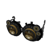 Fancy Goggles