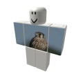 Kestrel 1