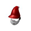 Sports Santa