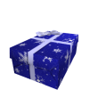 Opened Wintery Gift of Thanks