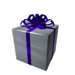 Opened Stainless Steel Gift of December 26th