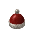 Red Winter Cap