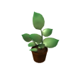 Earth Day Plant 2010