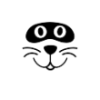 Raccoon