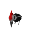 Woodpecker