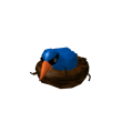 Bird's Nest