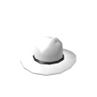 Light Stetson