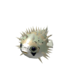 Blowfish