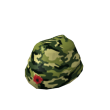 Veteran's Day Cap