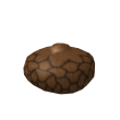 Acorn