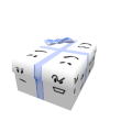 Opened Friendly Gift of Facebox Connect