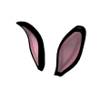 New Black Bunny Ears