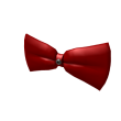 Secret Camera Bow Tie