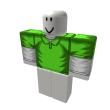 Two-Layer Polo Lme and Wht