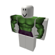 HULK TORSO (WORKING 2007!!!)