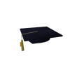 2011 Graduation Cap