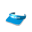 2026 Winter Visor V2