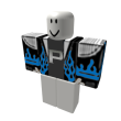 Pshirt3