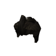 Johnny Brown Hair