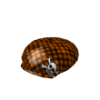Skull Ivy Cap
