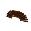 Turkey Feather Headband
