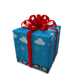 Opened Director's Gift of MeTube