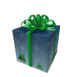 Opened Remarkable Gift of Experience