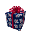 Opened Exciting Gift of ROBLOX RALLY 2011