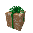 Opened Supermodeler Gift