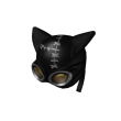 Cat Burglar