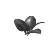 withered veggies2