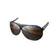 Roadtrippin' Shades