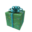 Opened Festival Gift of Group Fundraising