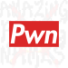 AMAZING Pwning Name's